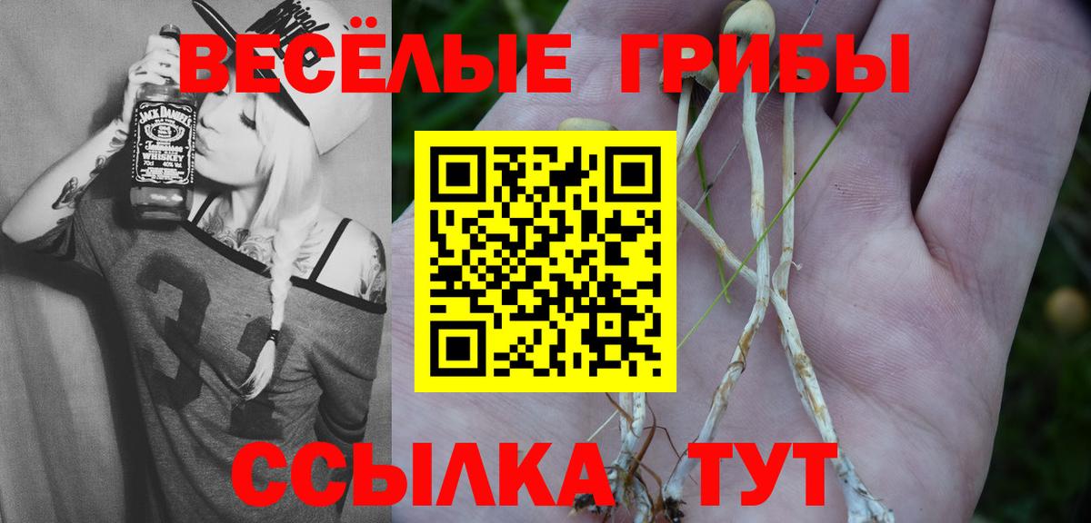 Псилоцибиновые грибы Magic Shrooms  купить закладку  Вход с VPN  Новороссийск  Псилоцибиновые грибы мухоморы 